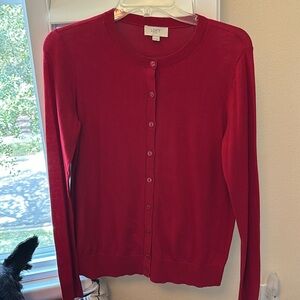 Red sweater button down